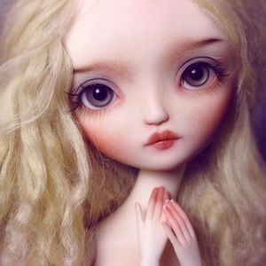 🌺 Posh Ambassador 🌺